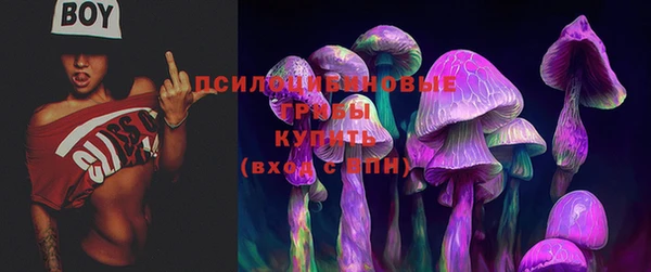 спайс Нефтекумск