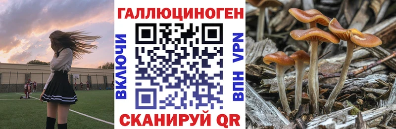 Галлюциногенные грибы Psilocybine cubensis  Купить  Чистополь 